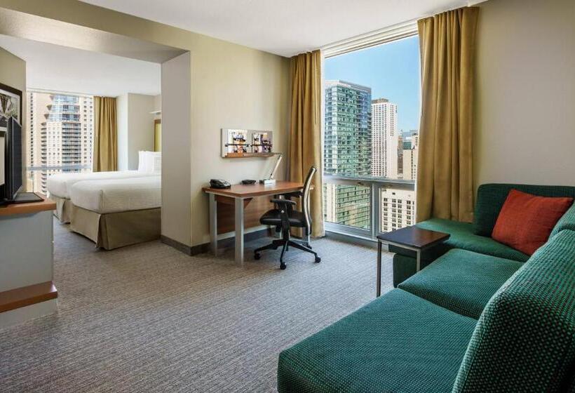 Студия Стандарт Вид на Город, Springhill Suites Chicago Downtown/river North