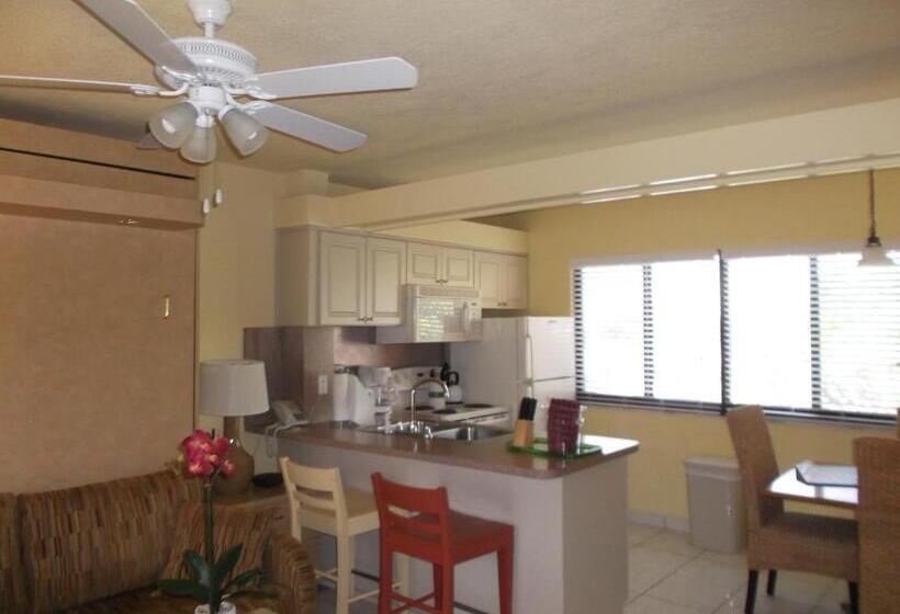 חדר סטודיו סטנדרד, Hollywood Sands Resort