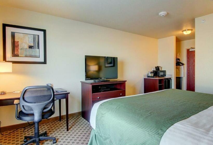 스탠다드 룸 킹사이즈 침대, Cobblestone Inn & Suites  Steele