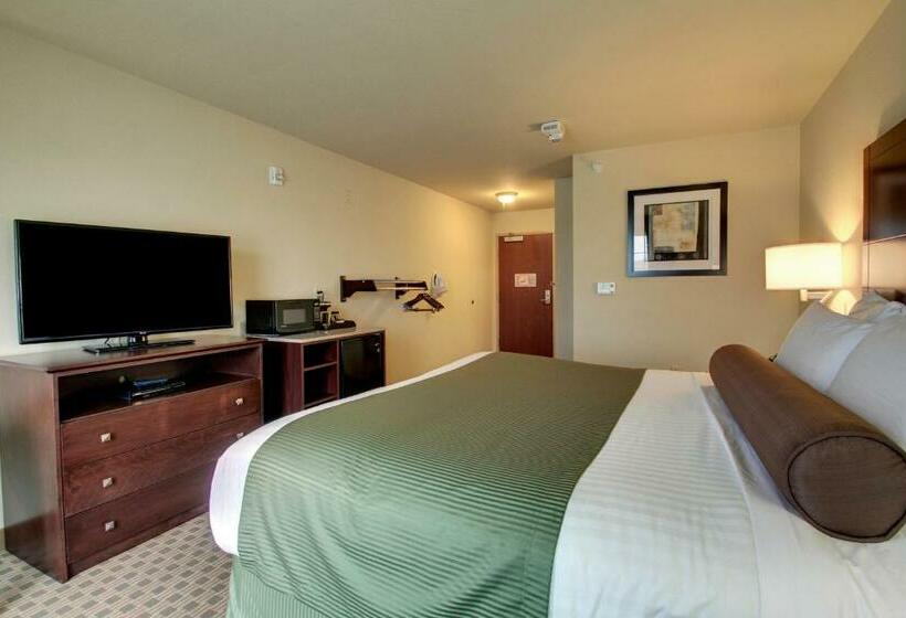 장애인을 위한 킹사이즈 침대 스탠다드 룸, Cobblestone Inn & Suites  Steele