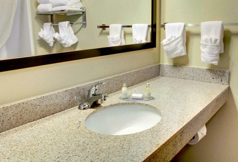 디럭스 룸, Cobblestone Inn & Suites  Steele