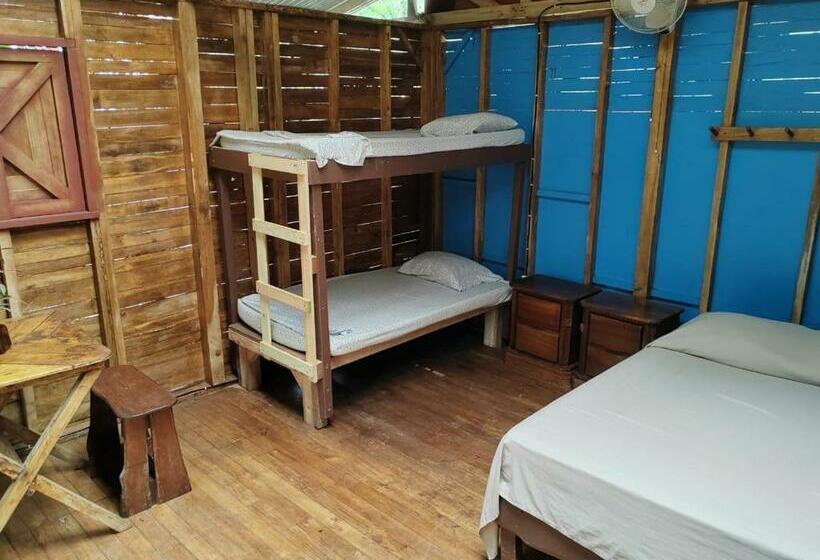 Quarto quádruplo Económico Casa de banho partilhada, Flutterby House Hostel