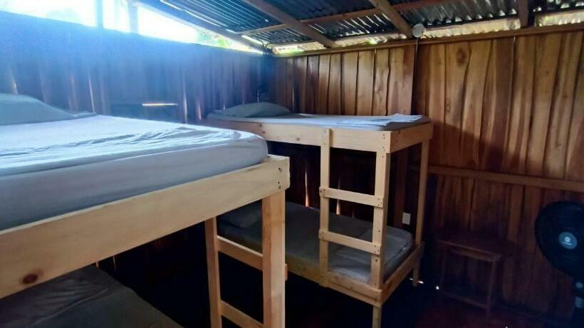 Quarto quádruplo Económico Casa de banho partilhada, Flutterby House Hostel