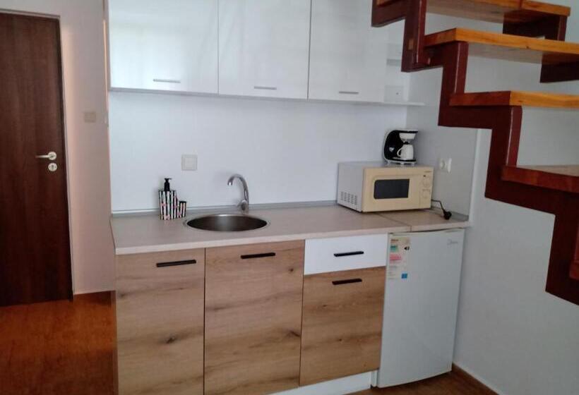Студия Стандарт, Guest House аnestievi
