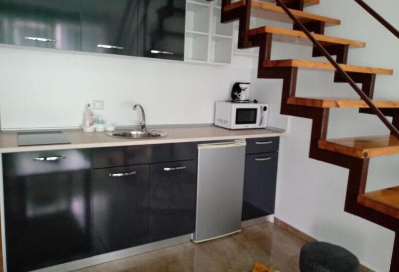 Студия Стандарт, Guest House аnestievi
