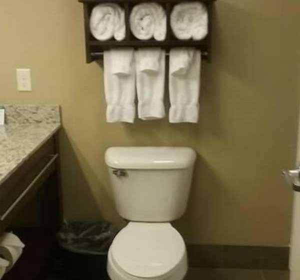 Номер Executive, Gateway Park Hotel And Suites   Tea Sioux Falls