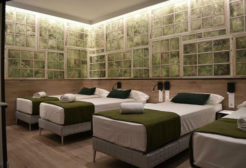 Четырехместный Номер Стандарт, Casp Green House