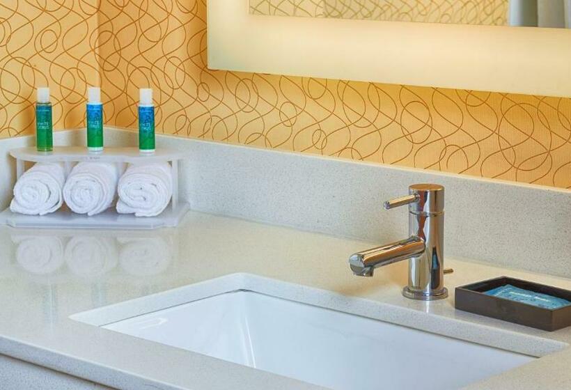 장애인을 위한 킹사이즈 침대 스탠다드 룸, Holiday Inn Express Bordentown   Trenton South, An Ihg