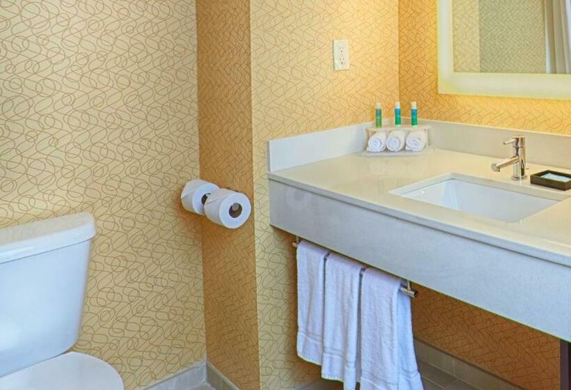 스탠다드 룸 킹사이즈 침대, Holiday Inn Express Bordentown   Trenton South, An Ihg