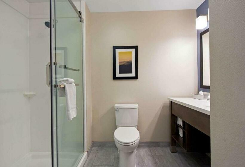 Стандартный Номер Кровать Кинг, La Quinta By Wyndham Morgan Hill San Jose South