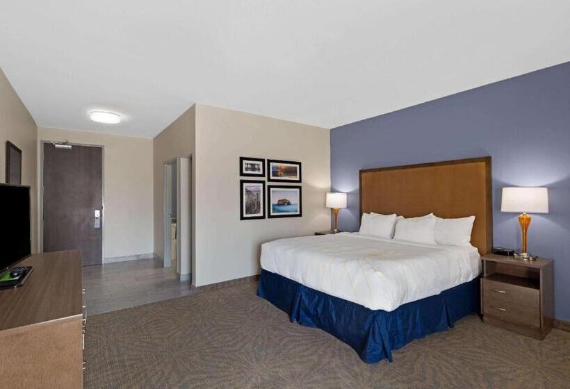 Номер Стандарт Кровать Кинг Адаптированный для Инвалидов, La Quinta By Wyndham Morgan Hill San Jose South