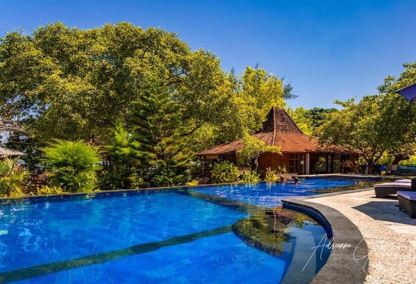 اتاق لوکس خانوادگی, Oceans 5 Dive Resort