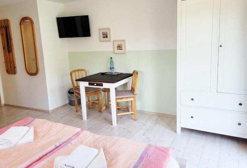 Номер Стандарт с Террасой, Pension Landhaus Teichgraf