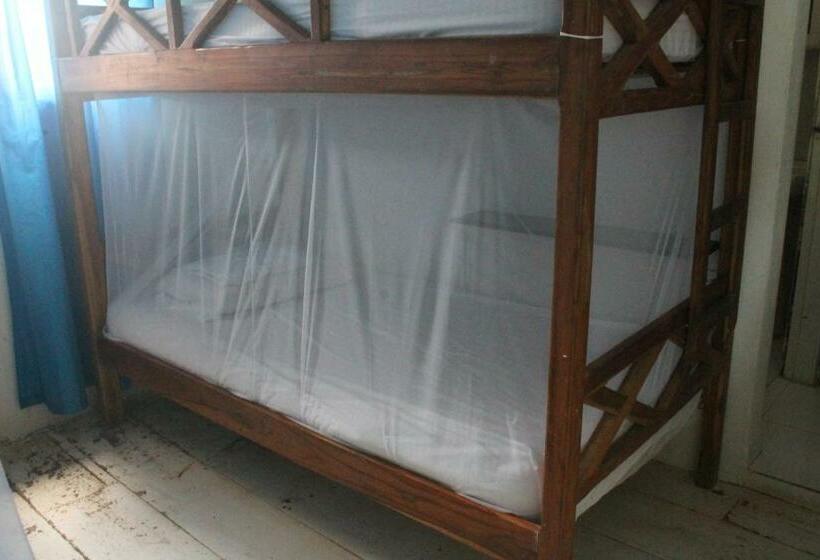 공동 객실, Taida Experiences Hostel
