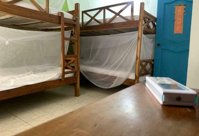 공동 객실, Taida Experiences Hostel