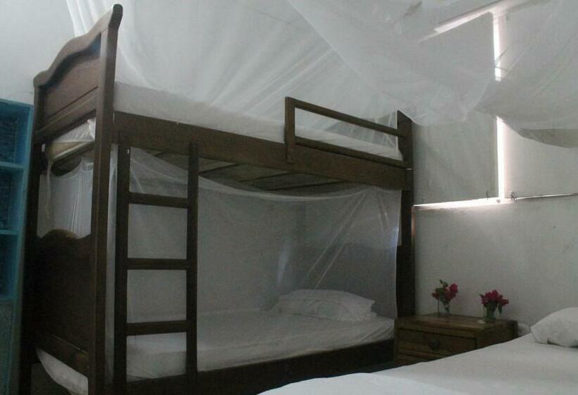 4인용 스탠다드 룸, Taida Experiences Hostel