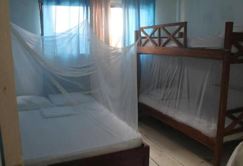 4인용 스탠다드 룸, Taida Experiences Hostel