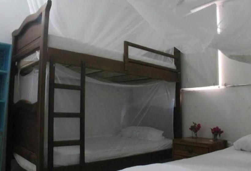 패밀리 룸, Taida Experiences Hostel
