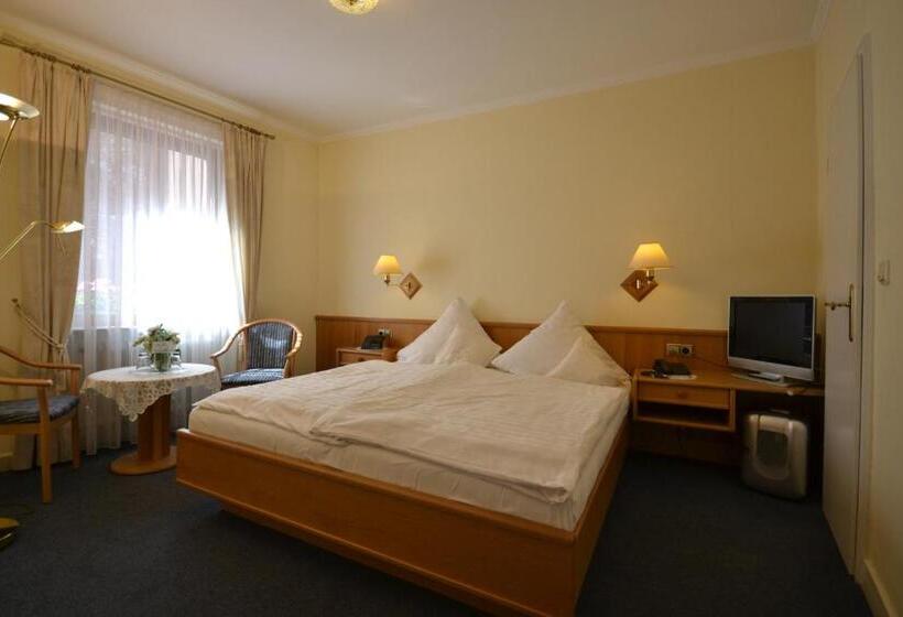 Номер Стандарт, Binz