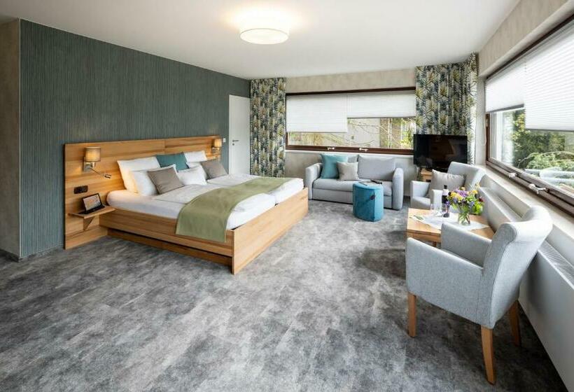 Номер Стандарт Вид на Море с Балконом, Plusnaturhotel Direkt Am Ederseeufer Waldhotel Wiesemann Und Ferienapartments