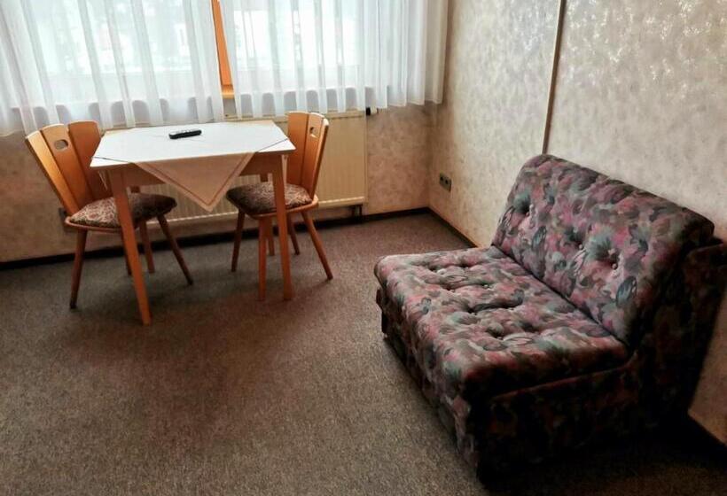 Номер Стандарт Индивидуальный, Gasthaus Pflug