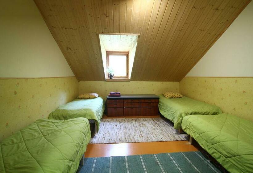 اتاق استاندارد چهار تخته, Naissaare Guesthouse Külalistemaja