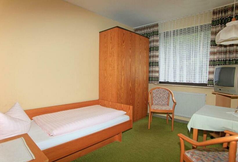 Номер Стандарт Индивидуальный, Waldhotel Achtermannstor