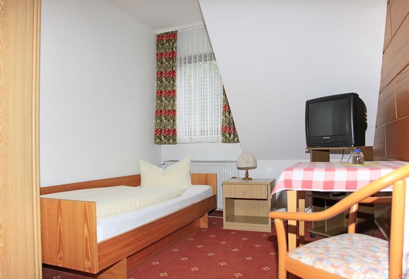 Номер Стандарт Индивидуальный с Балконом, Waldhotel Achtermannstor