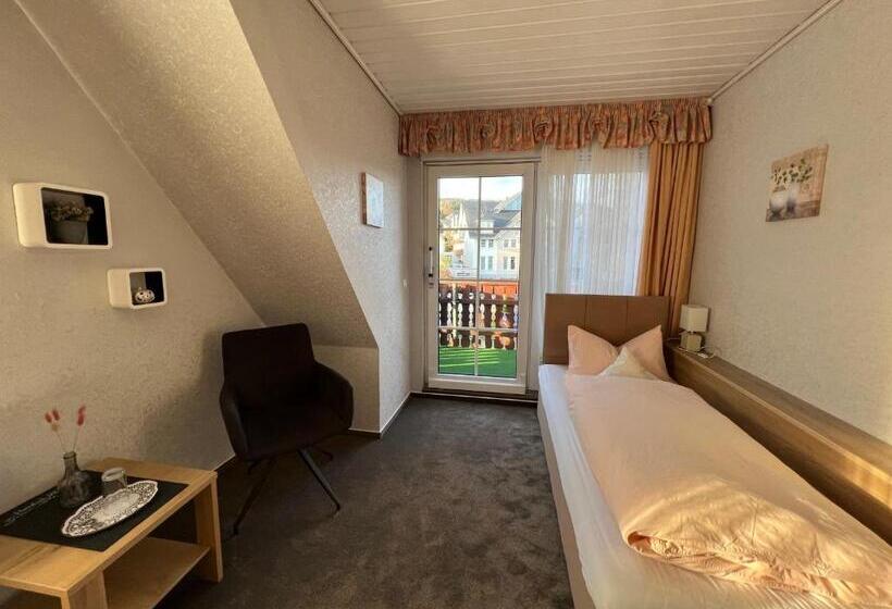 Номер Стандарт Индивидуальный с Балконом, Sevda S Hotel Garni Weinforth