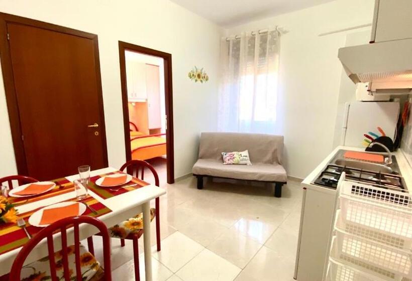 شقة غرفة واحدة, Belvedere Home