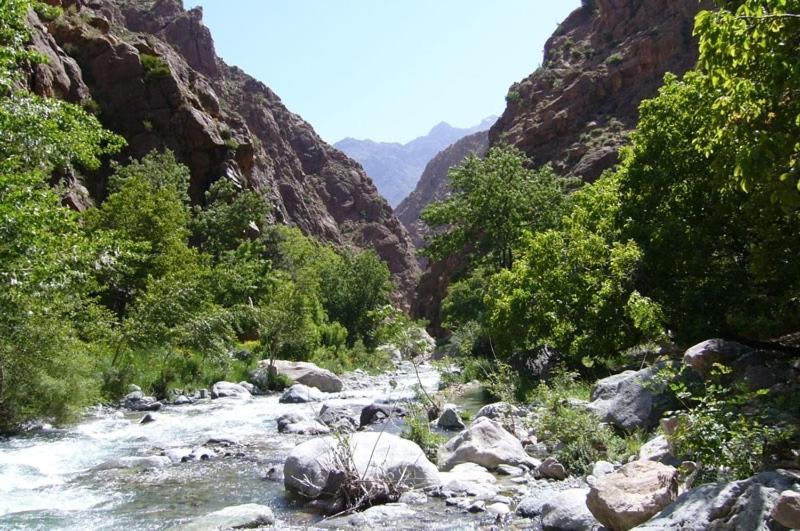 اتاق استاندارد سه نفره, Le Coq Hardi