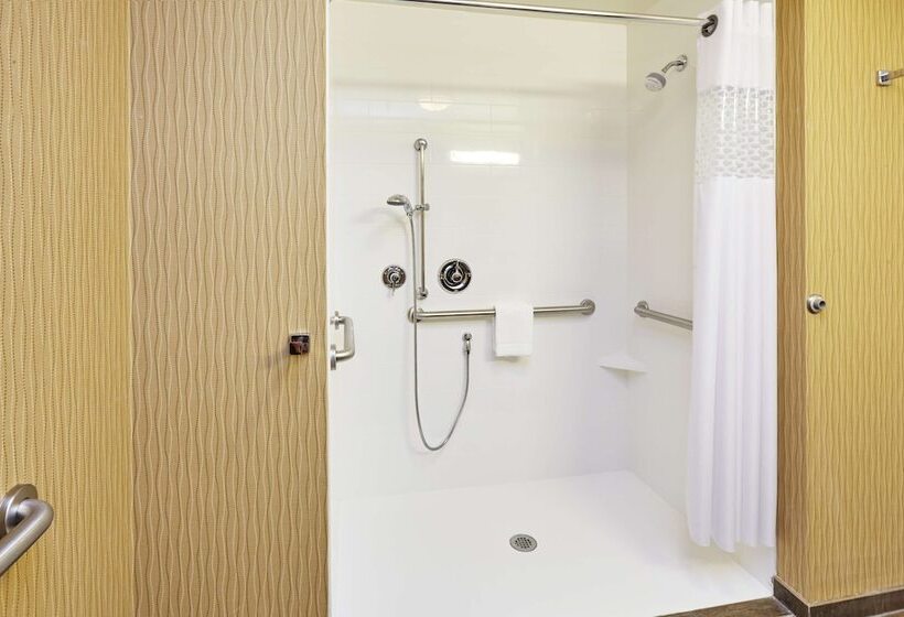 适合残疾人使用的标准间, Hampton Inn & Suites Milwaukee/franklin