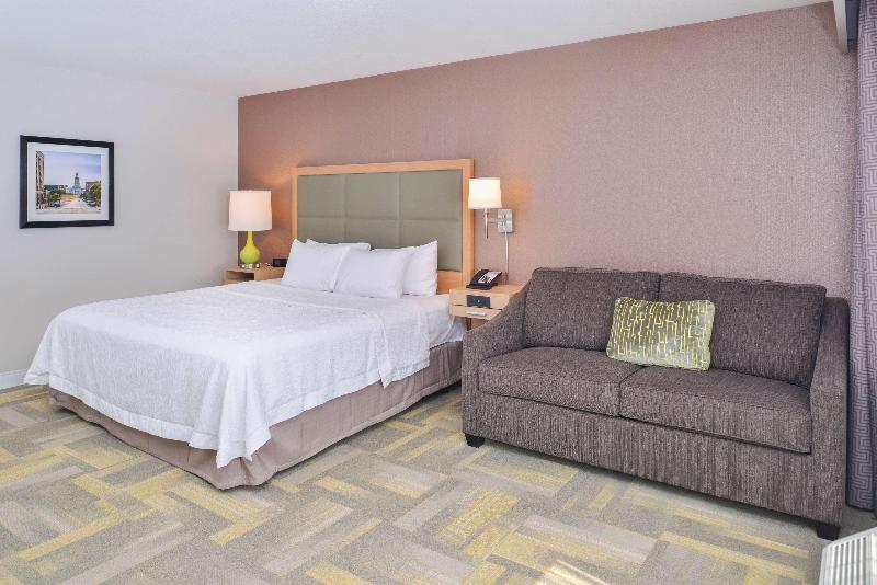스탠다드 룸 킹사이즈 침대, Hampton Inn & Suites Altoonades Moines