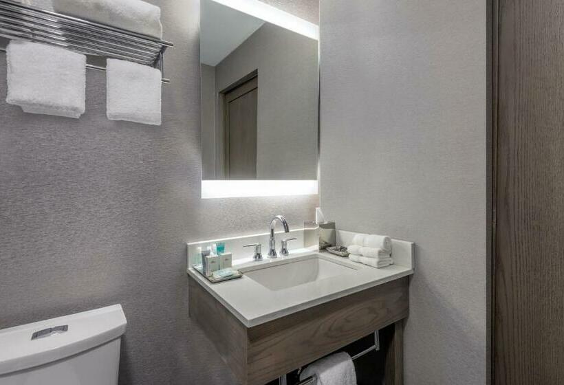 Номер Стандарт 2 Двуспальные Кровати, Wyndham Garden Laguardia South