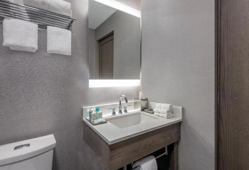 Номер Стандарт Адаптированный для Инвалидов, Wyndham Garden Laguardia South