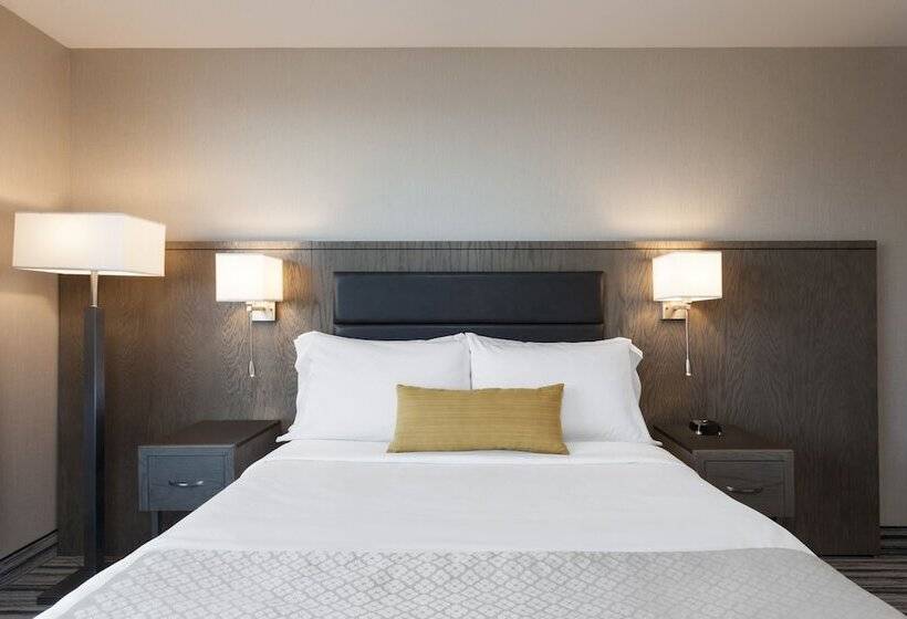 Номер Стандарт Адаптированный для Инвалидов, Wyndham Garden Laguardia South