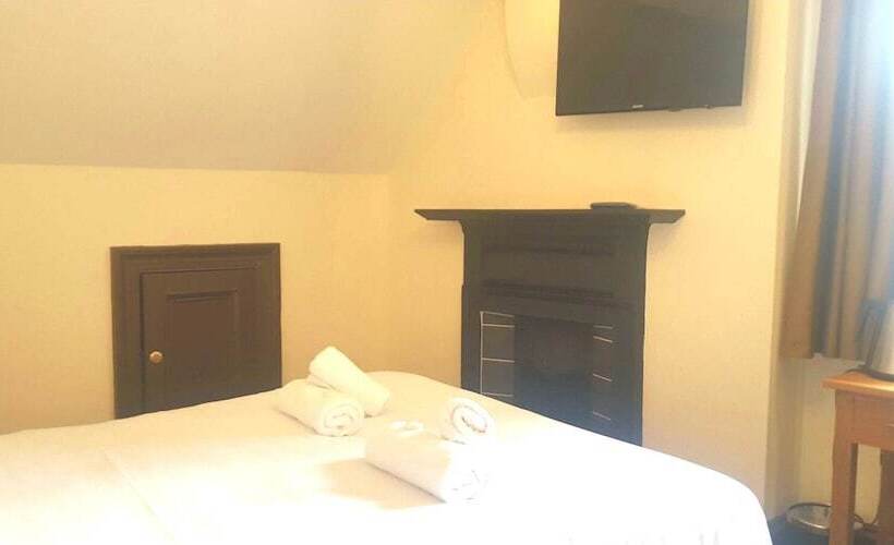 Quarto Estandar, The Dolphin