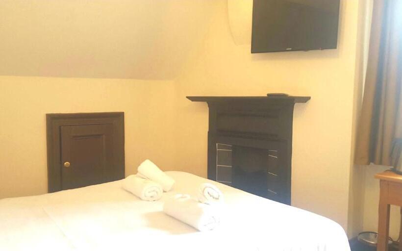 Quarto Estandar, The Dolphin