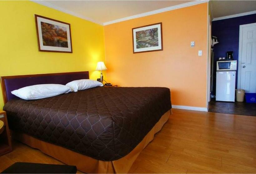 스탠다드 룸 킹사이즈 침대, Harmony Inn