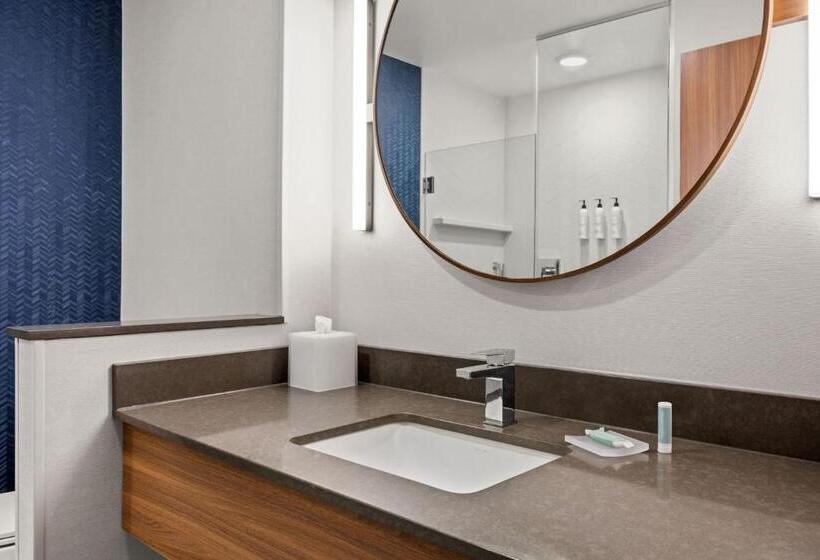 Номер Стандарт Вид на Город, Fairfield By Marriott Inn & Suites Baraboo