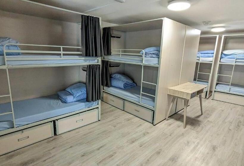 Кровать в Общей Комнате, International Inn
