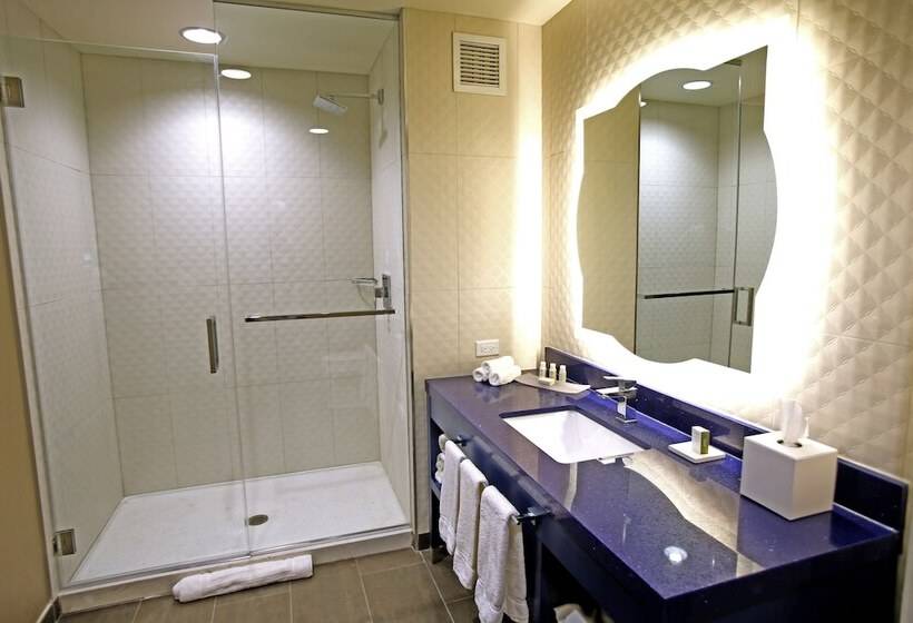 Suite, Indigo Naperville Riverwalk, An Ihg