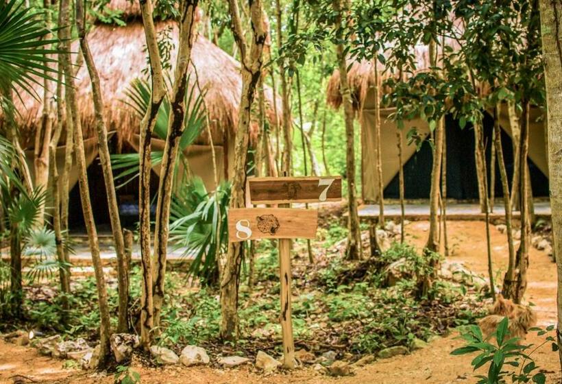 キングサイズベッドのスタンダードルーム, Akumal Natura Glamping