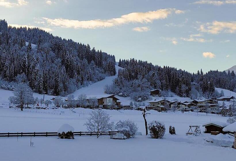 Номер Стандарт, Alpenhof
