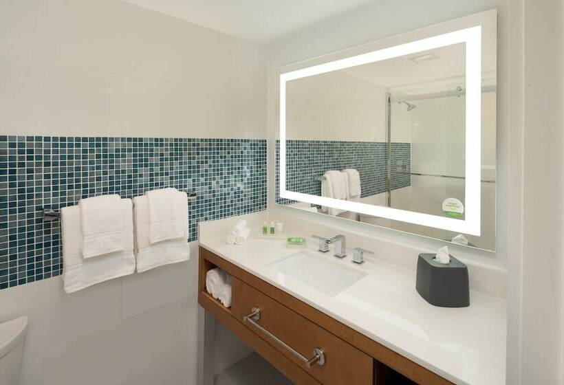스탠다드 룸, Doubletree By Hilton Miami North I 95