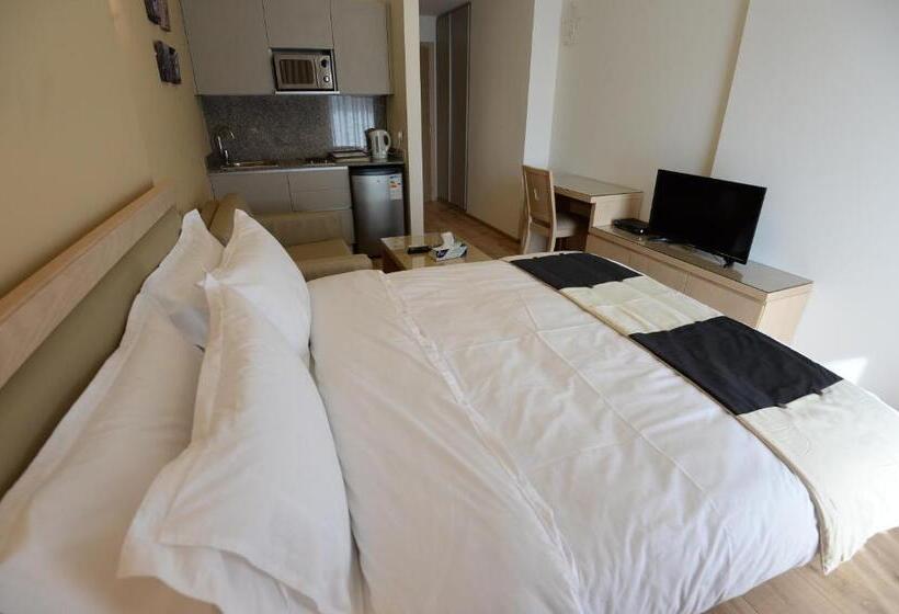 استودیوی استاندارد, Nest 1