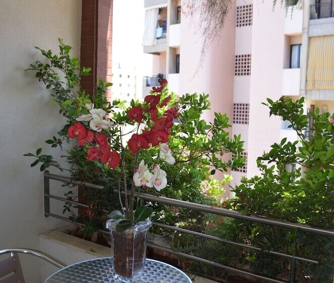 استودیوی استاندارد, Nest 1