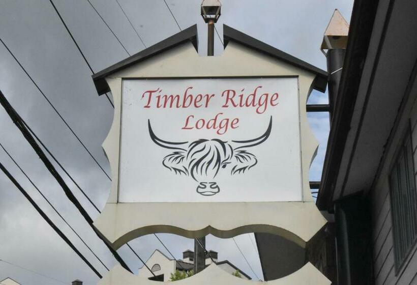 سوئیت با تخت بزرگ, Timber Ridge Lodge Gatlinburg