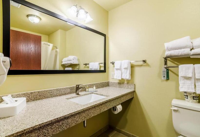 스탠다드 룸, Cobblestone Inn & Suites  Oberlin