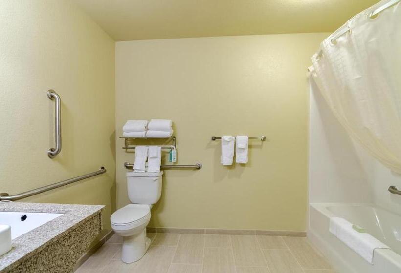 장애인을 위한 킹사이즈 침대 스탠다드 룸, Cobblestone Inn & Suites  Oberlin